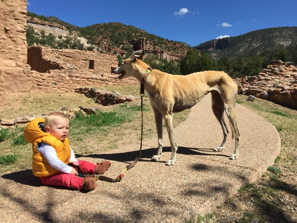 Toddler is sitting with the family dog in a park