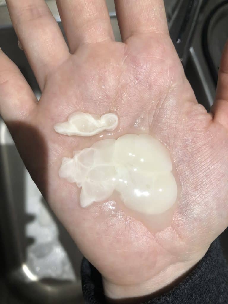 Fat globules in milk