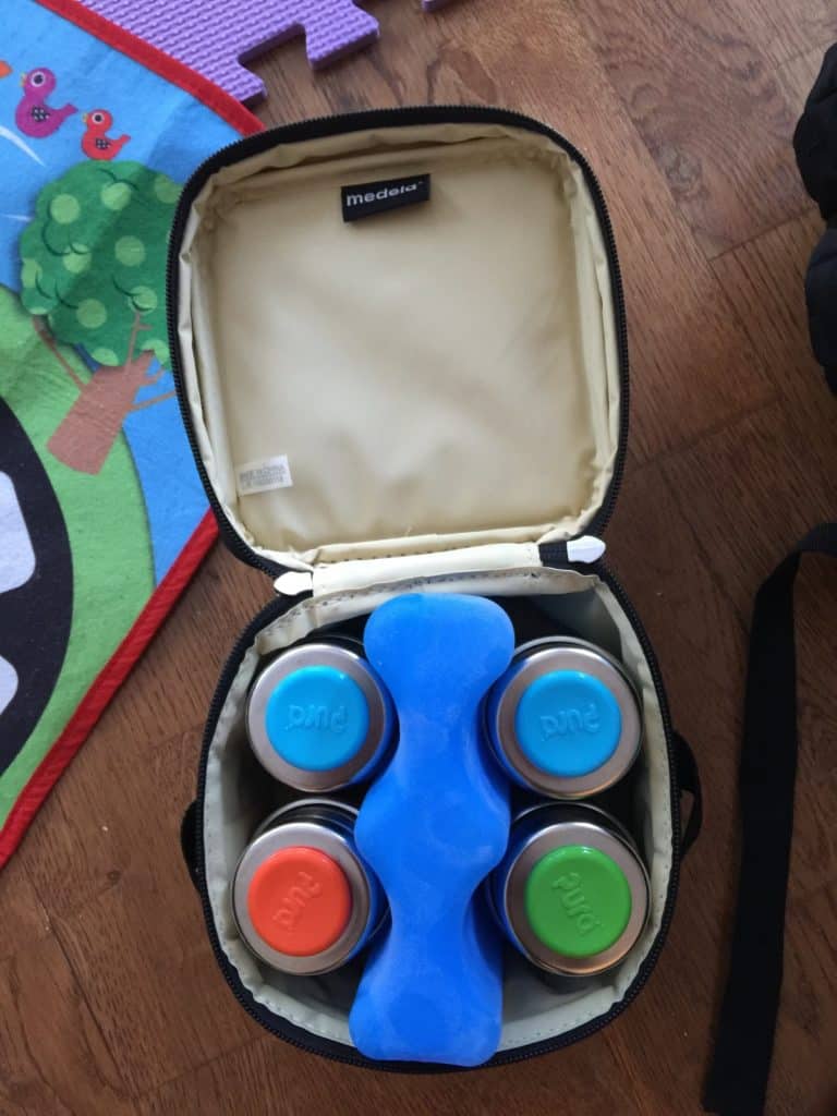 Travel bag and cooler for breastmilk plane flight.