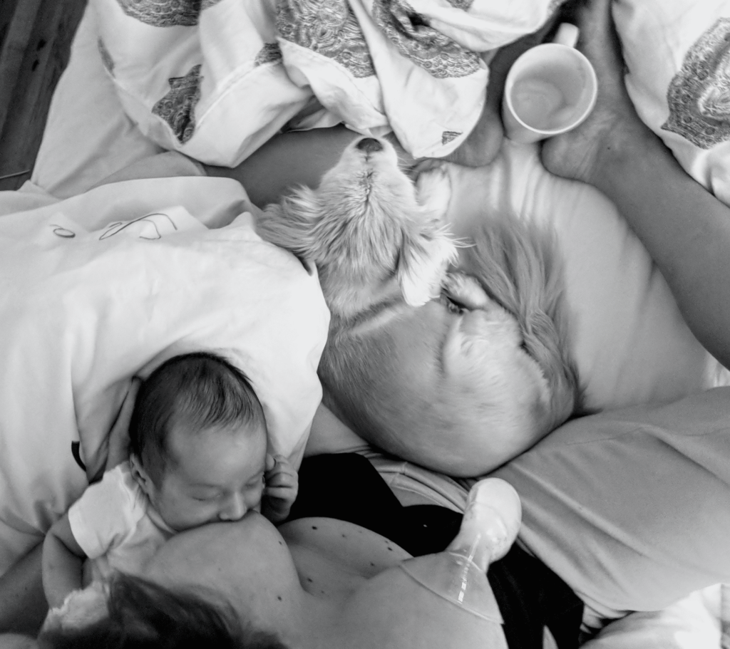 Haaka catching letdown from right breast as baby feeds on left.