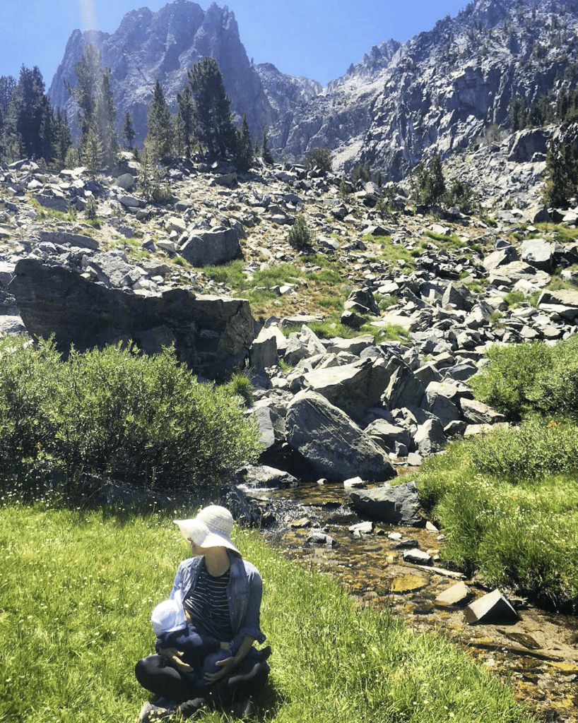 Mother feeding amongst the rocks of nature