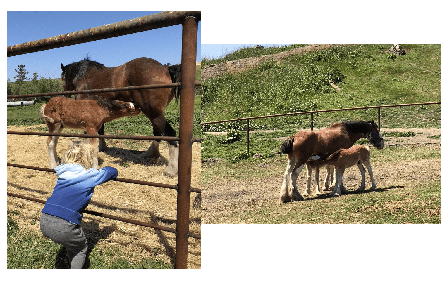 Screen Shot 2021 10 28 at 1.25.02 PM