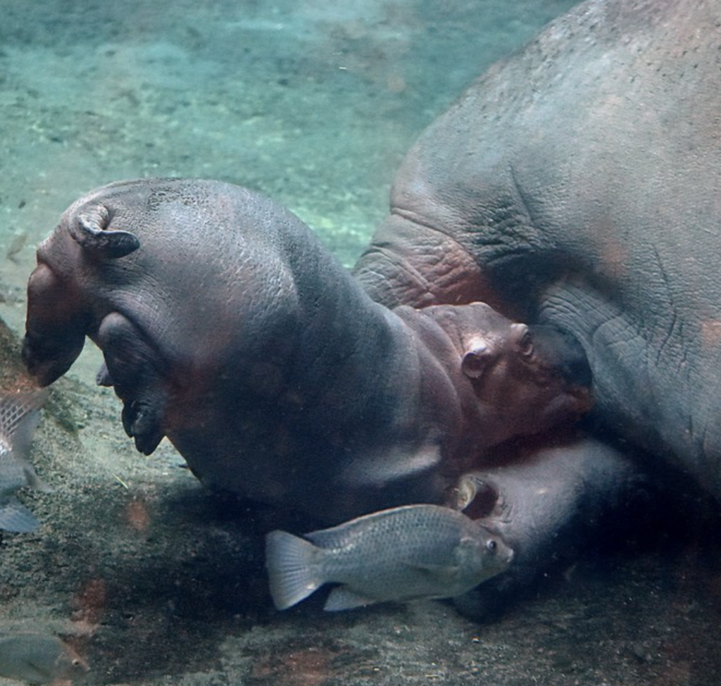 Screen Shot 2023 04 10 at 9.17.36 PM