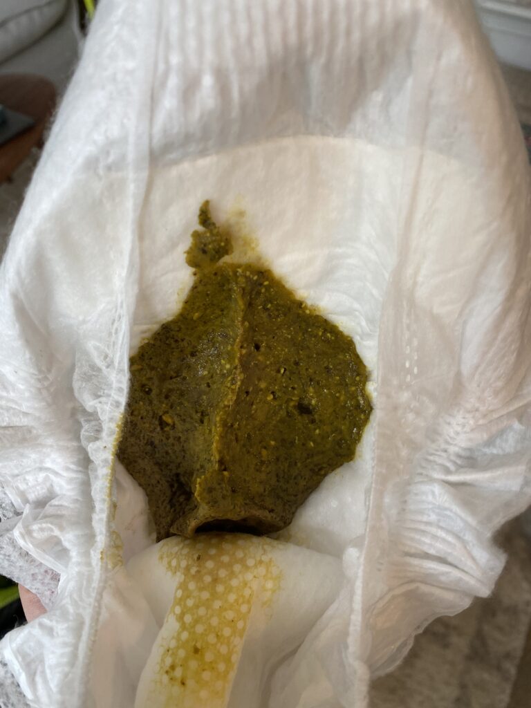 Diapers after starting solids