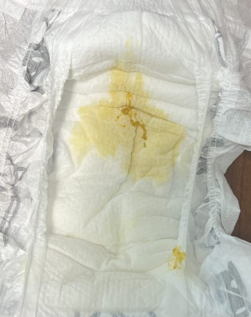 IMG 7151 scaled e1655351086614