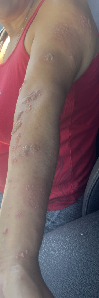 Screenshot 2023 09 12 at 6.18.00 PM