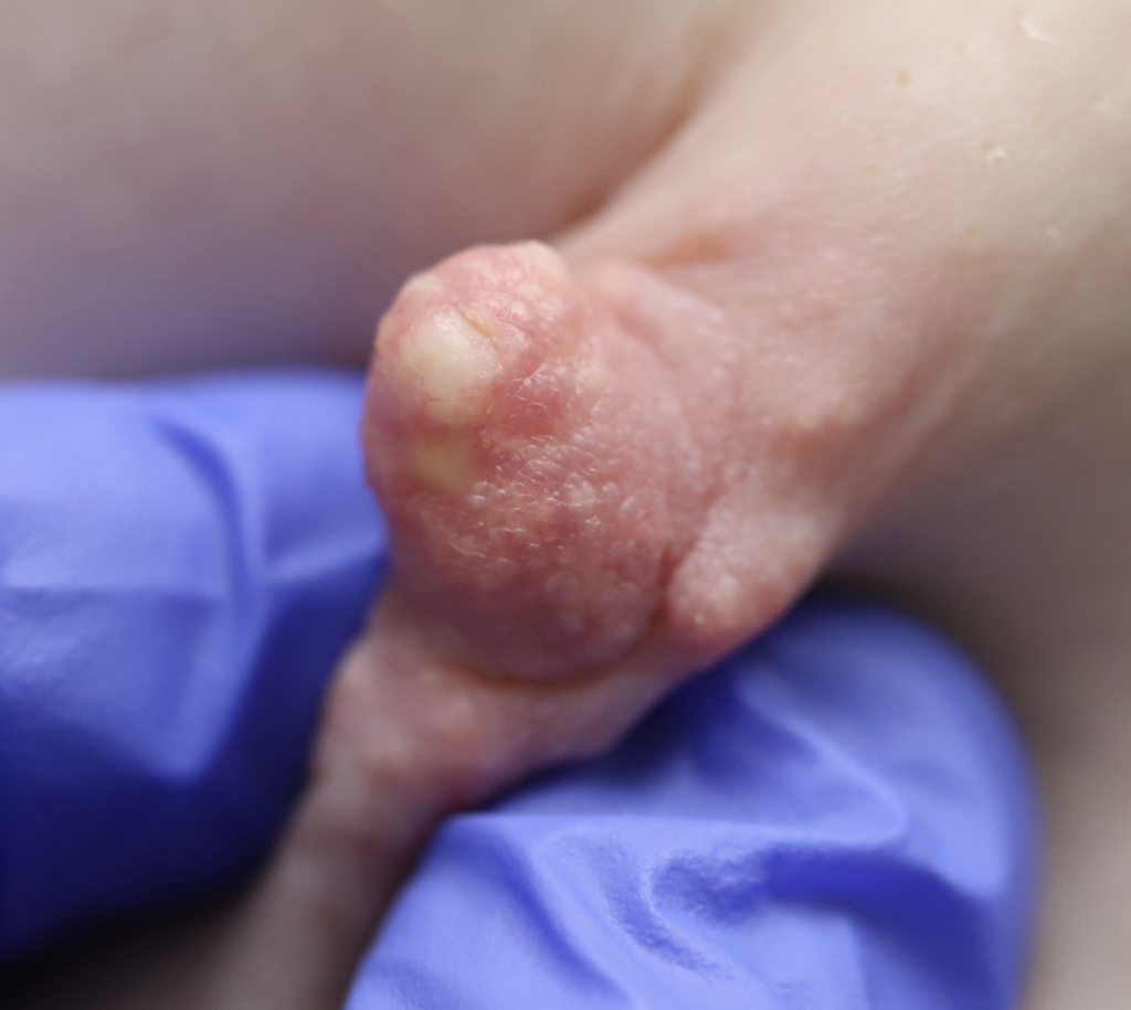 Screenshot 2023 10 06 at 4.39.00 PM