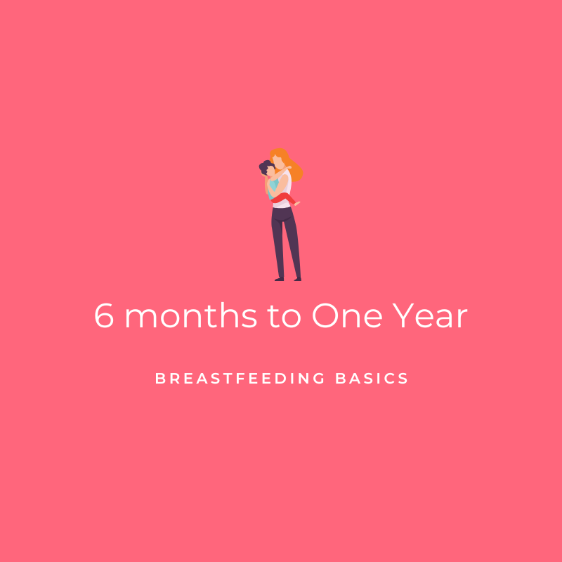 6 Months to One Year - Breastfeeding Basics Graphic