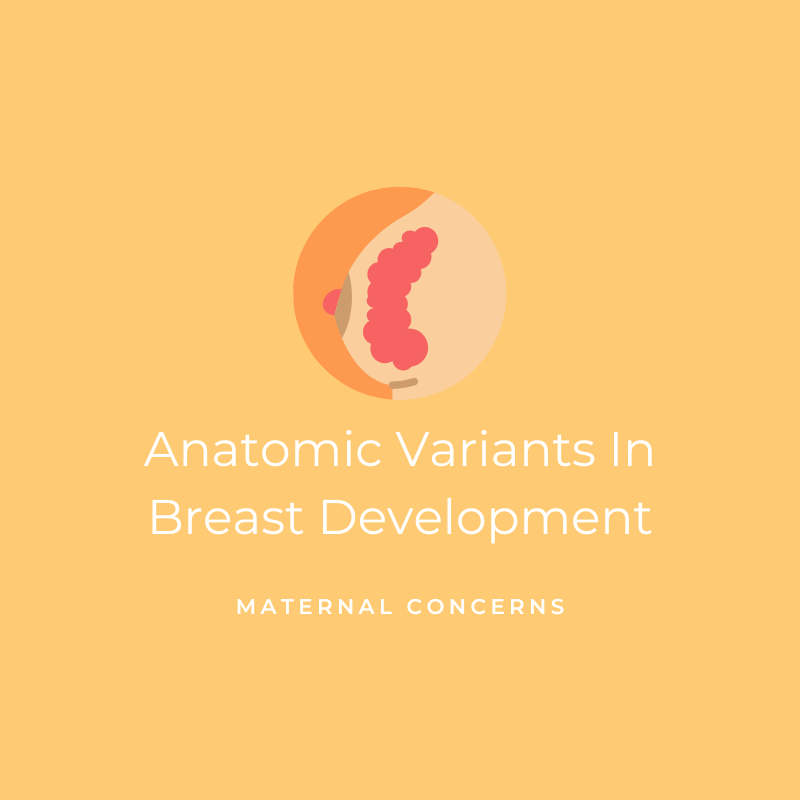 Anatomic Variants in Breast Development - Maternal Concerns Graphic