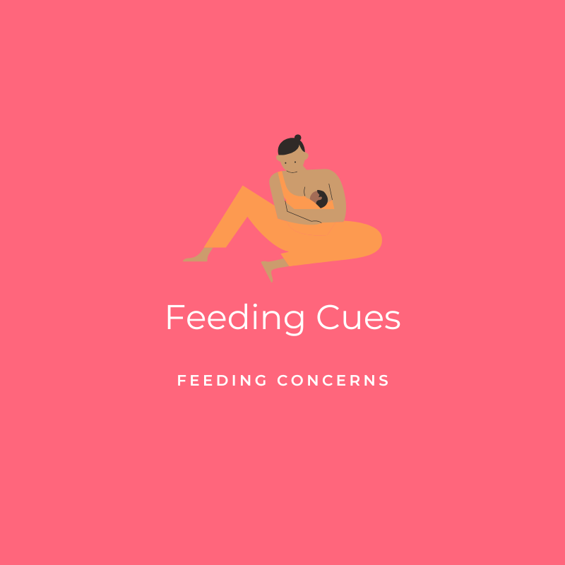 Feeding Cues - Feeding Concerns Graphic