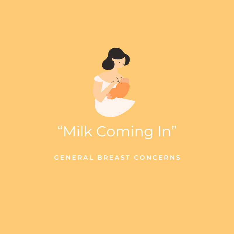 Milk Coming In - General Breast Concerns Graphic