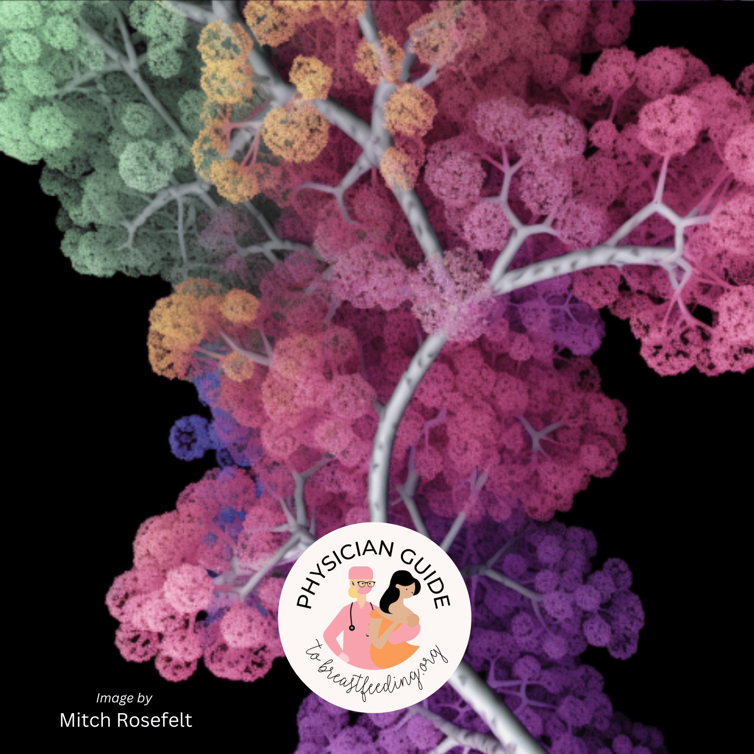 New Mitch Rosefelt Cells Image