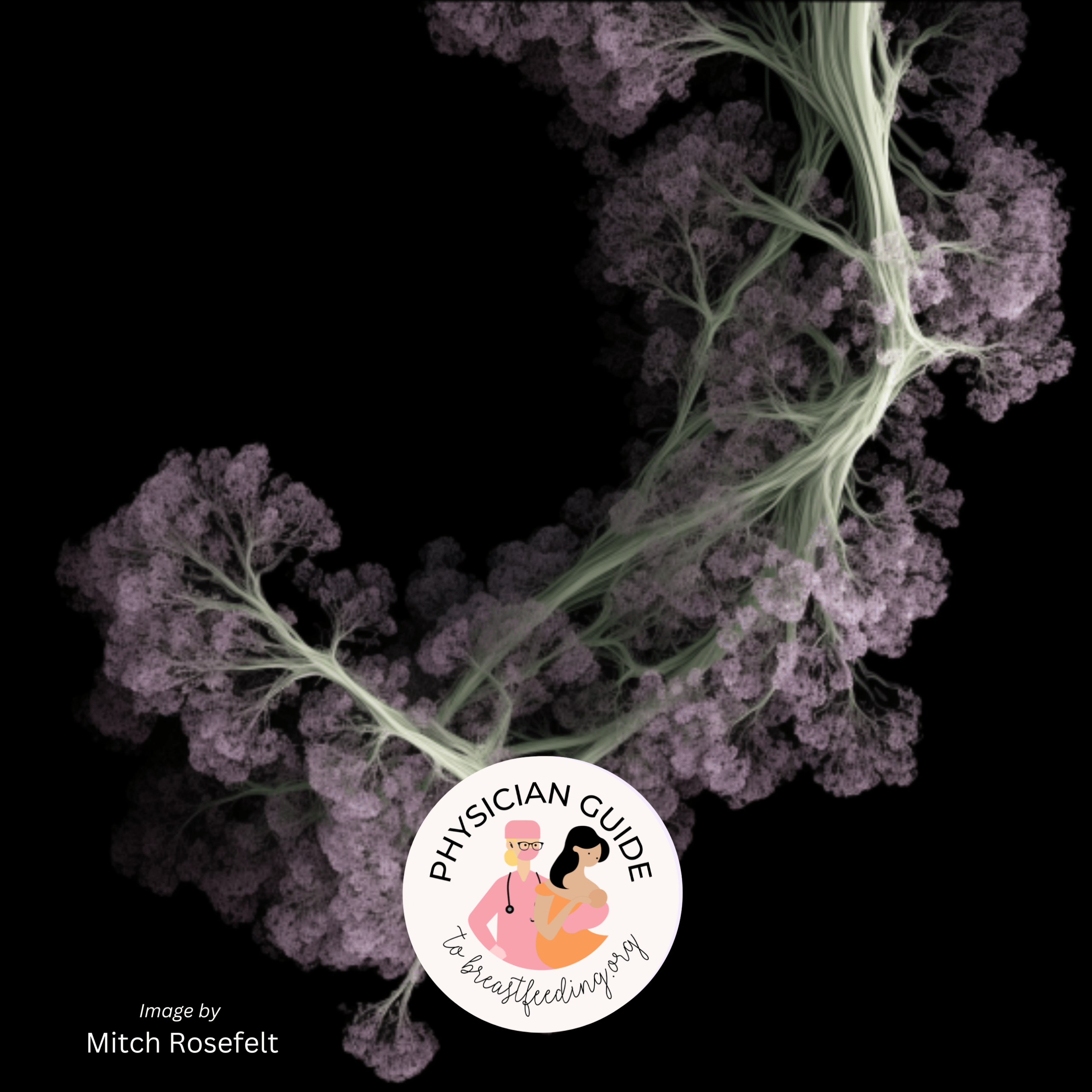 New Mitch Rosefelt Image 2