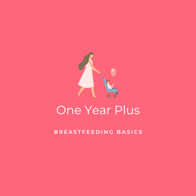 One Year Plus - Breastfeeding Basics Graphic