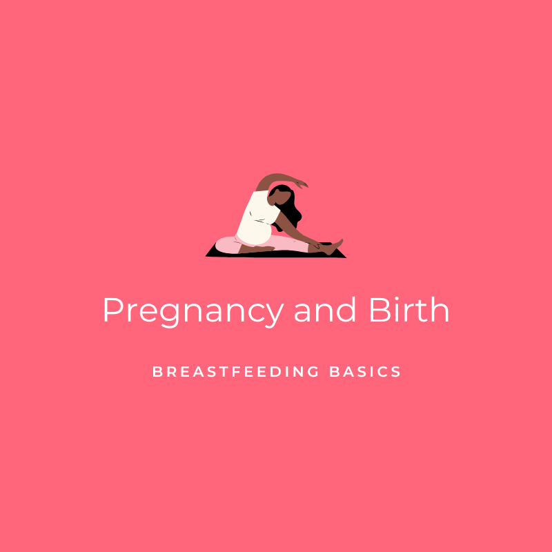 Pregnancy and Birth - Breastfeeding Basics Graphic